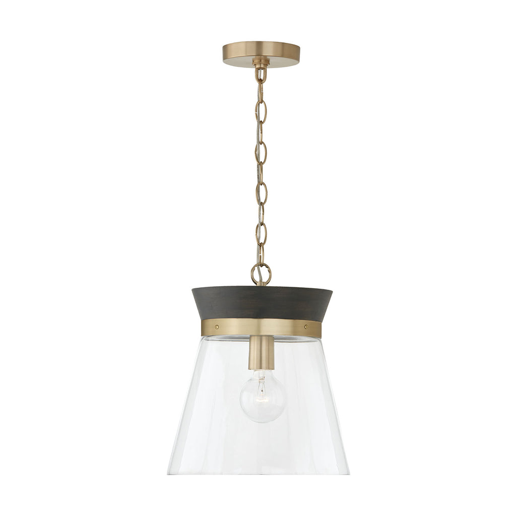 Capital 347311KR Finn Collection One Light Pendant in Matte