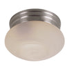 Trans Globe PL-3620-1 BN Flush Mount In Brushed Nickel Finish