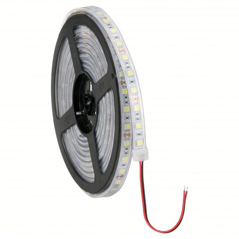 AMERICAN LIGHTING  TL-24V-30-UWW 16.4 FOOT TAPE LIGHT REEL