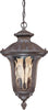 Nuvo Lighting 60-2008 Beaumont Collection Two Light Exterior Outdoor Wall Lantern in Fruitwood Finish