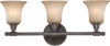 Nuvo Lighting 60-4163 Surrey Collection Three Light Bath Vanity Wall Mount in Vintage Bronze Finish