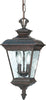 Nuvo Lighting 60-973 Charter Collection Two Light Exterior Outdoor Hanging Lantern in Old Penny Bronze Finish