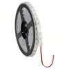 AMERICAN LIGHTING  TL-24V-30-UWW 16.4 FOOT TAPE LIGHT REEL