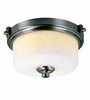 Trans Globe Lighting 7923 BN Two Light Flush Ceiling Fixture in Brushed Nickel Finish