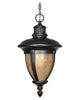 Nuvo Lighting 60-2521 Galeon Collection One Light Energy Efficient Fluorescent Exterior Outdoor Hanging Pendant in Old Penny Bronze Finish - Quality Discount Lighting
