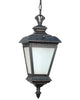 Nuvo Lighting 60-2524 Charter Collection One Light Energy Efficient Fluorescent Exterior Outdoor Hanging Pendant Lantern in Old Penny Bronze Finish - Quality Discount Lighting