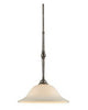 Z-Lite Lighting 901-MP14-AP One Light Pendant Chandelier in Antique Pewter Finish - Quality Discount Lighting